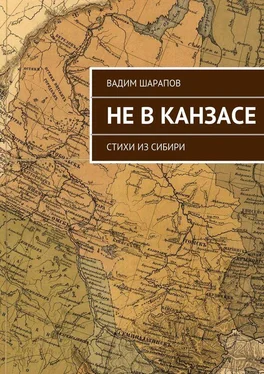 Вадим Шарапов Не в Канзасе обложка книги