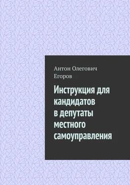 Антон Егоров Инструкция для кандидатов в депутаты местного самоуправления обложка книги