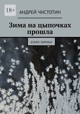 Андрей Чистотин Зима на цыпочках прошла. Книга лирики обложка книги