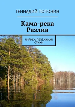 Геннадий Попонин Кама-река. Разлив. Лирика пейзажная. Стихи обложка книги