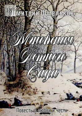 Дмитрий Шмельков Мгновения Летнего сада. Повесть о любви и чести обложка книги