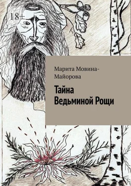 Марита Мовина-Майорова Тайна Ведьминой Рощи обложка книги