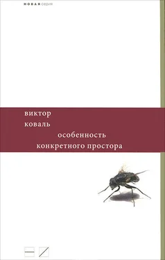 Виктор Коваль Особенность конкретного простора обложка книги