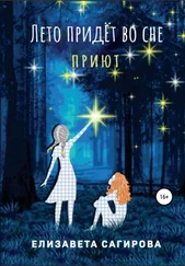 Елизавета Сагирова - Лето придёт во сне. Приют