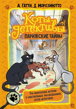 Давиде Морозинотто Парижские тайны обложка книги