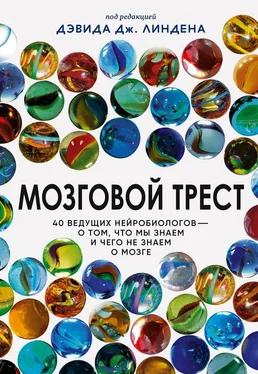 Array Сборник статей Мозговой трест. 40 ведущих нейробиологов – о том, что мы знаем и чего не знаем о мозге обложка книги