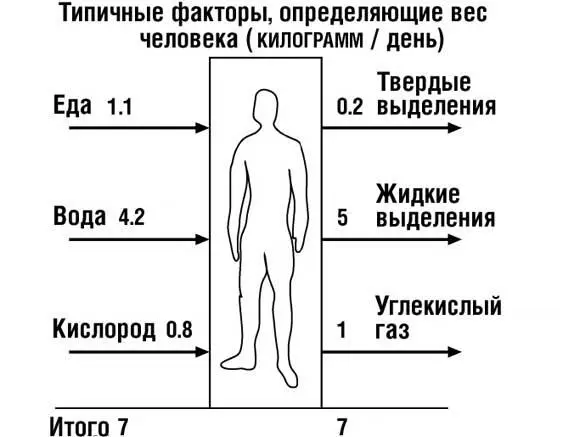 Рисунок 11 Джон Уокер Факторы определяющие вес человека из книги - фото 1