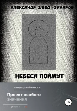 Александр Швед-Захаров Небеса поймут обложка книги