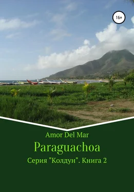 Amor Del Mar Paraguachoa обложка книги