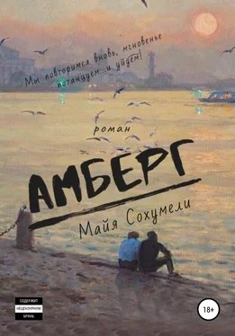 Майя Сохумели Амберг обложка книги