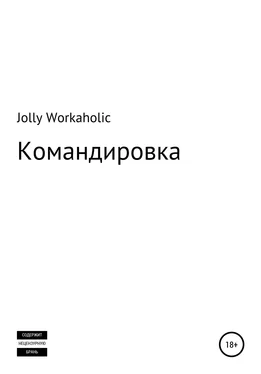 Jolly Workaholic Командировка обложка книги