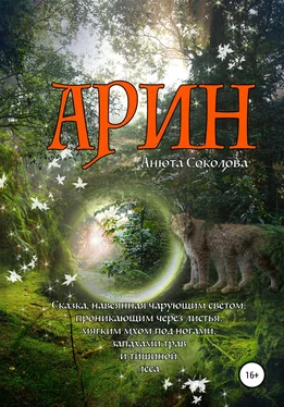 Анюта Соколова Арин обложка книги