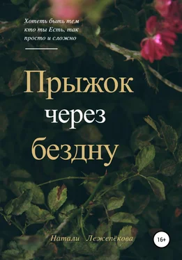 Натали Лежепёкова Прыжок через бездну обложка книги