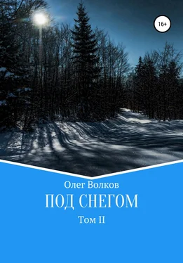 Олег Волков Под снегом. Том II обложка книги