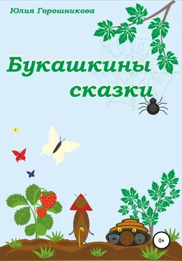 Юлия Горошникова Букашкины сказки обложка книги