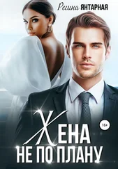 Регина Янтарная - Жена не по плану