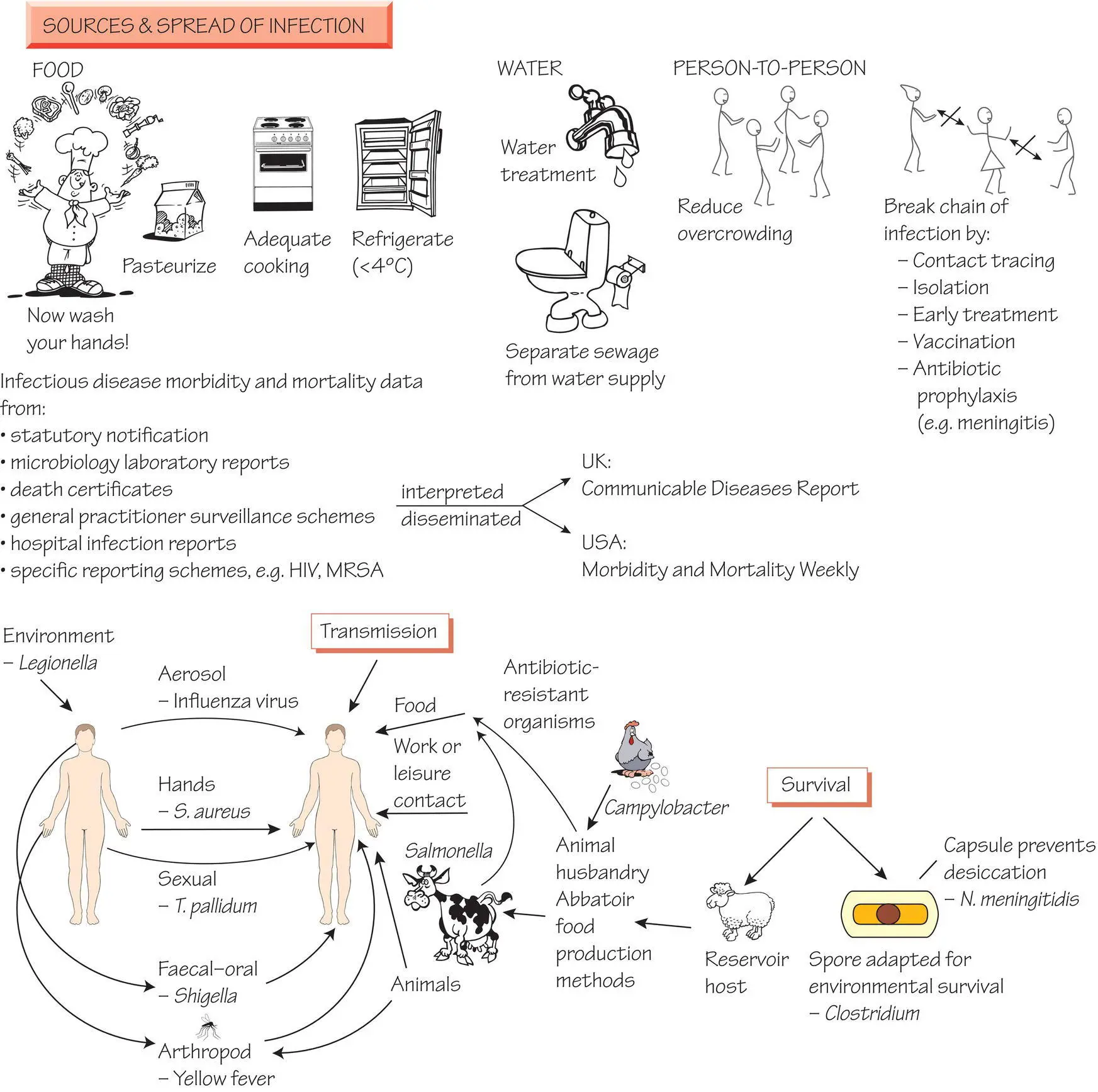 Sources of infection Infection is caused either by organisms from the hosts - фото 13