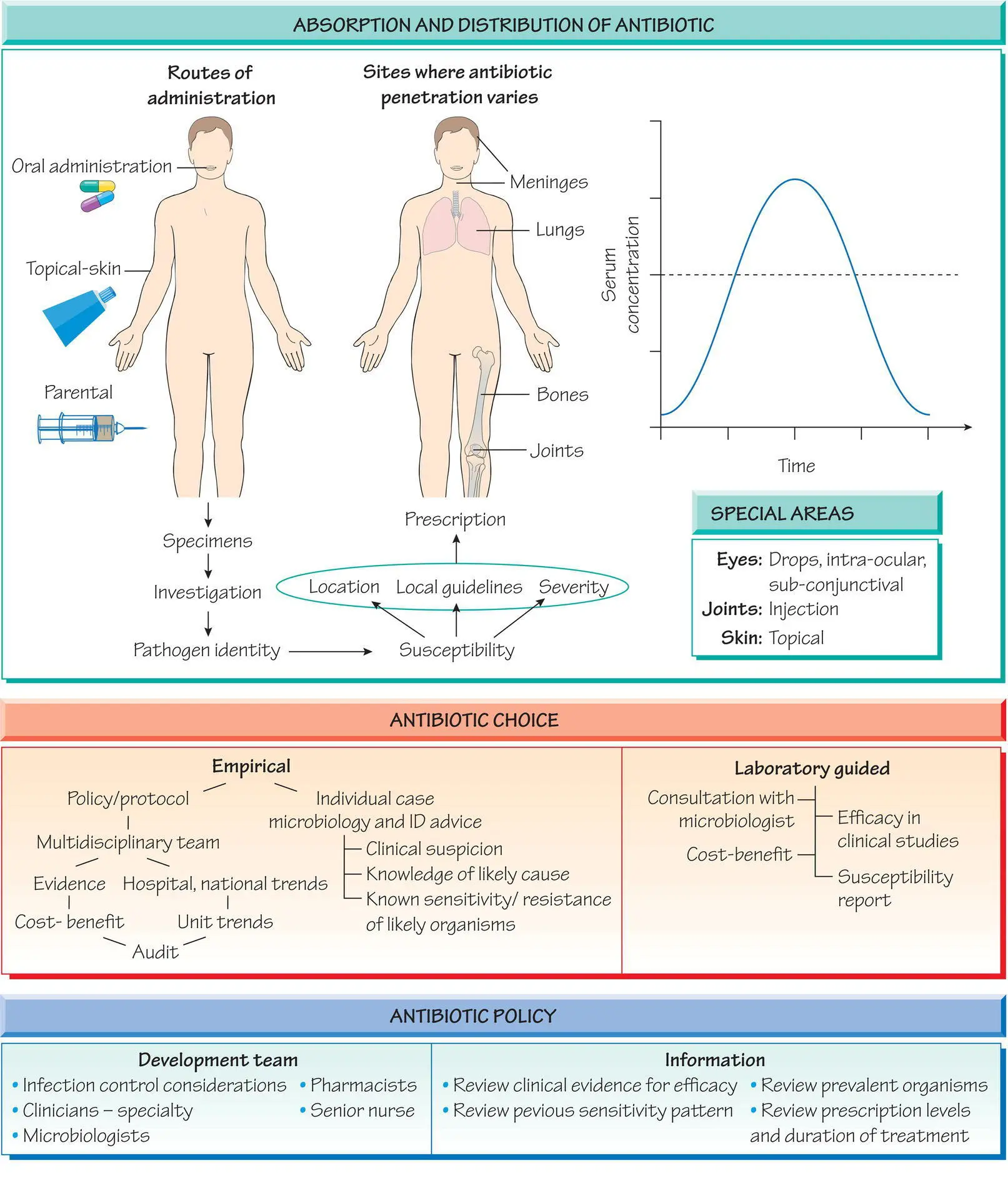 A holistic approach in antibiotic therapy Antibiotics alone are not the - фото 11