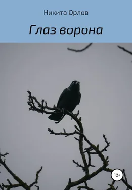 Никита Орлов Глаз ворона обложка книги