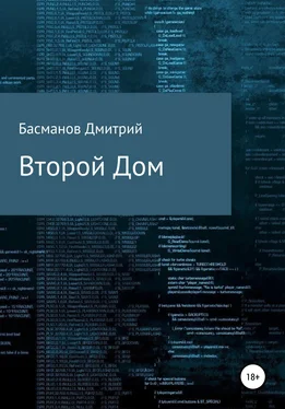 Дмитрий Басманов Второй Дом обложка книги