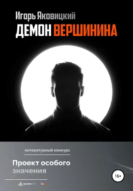 Игорь Яковицкий Демон Вершинина обложка книги