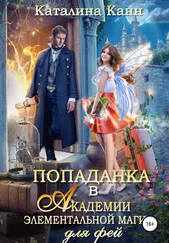 Каталина Канн - Попаданка в Академии элементальной магии для фей