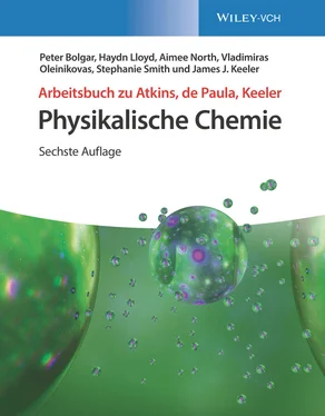 James J. Keeler Arbeitsbuch zu Atkins, de Paula, Keeler Physikalische Chemie обложка книги