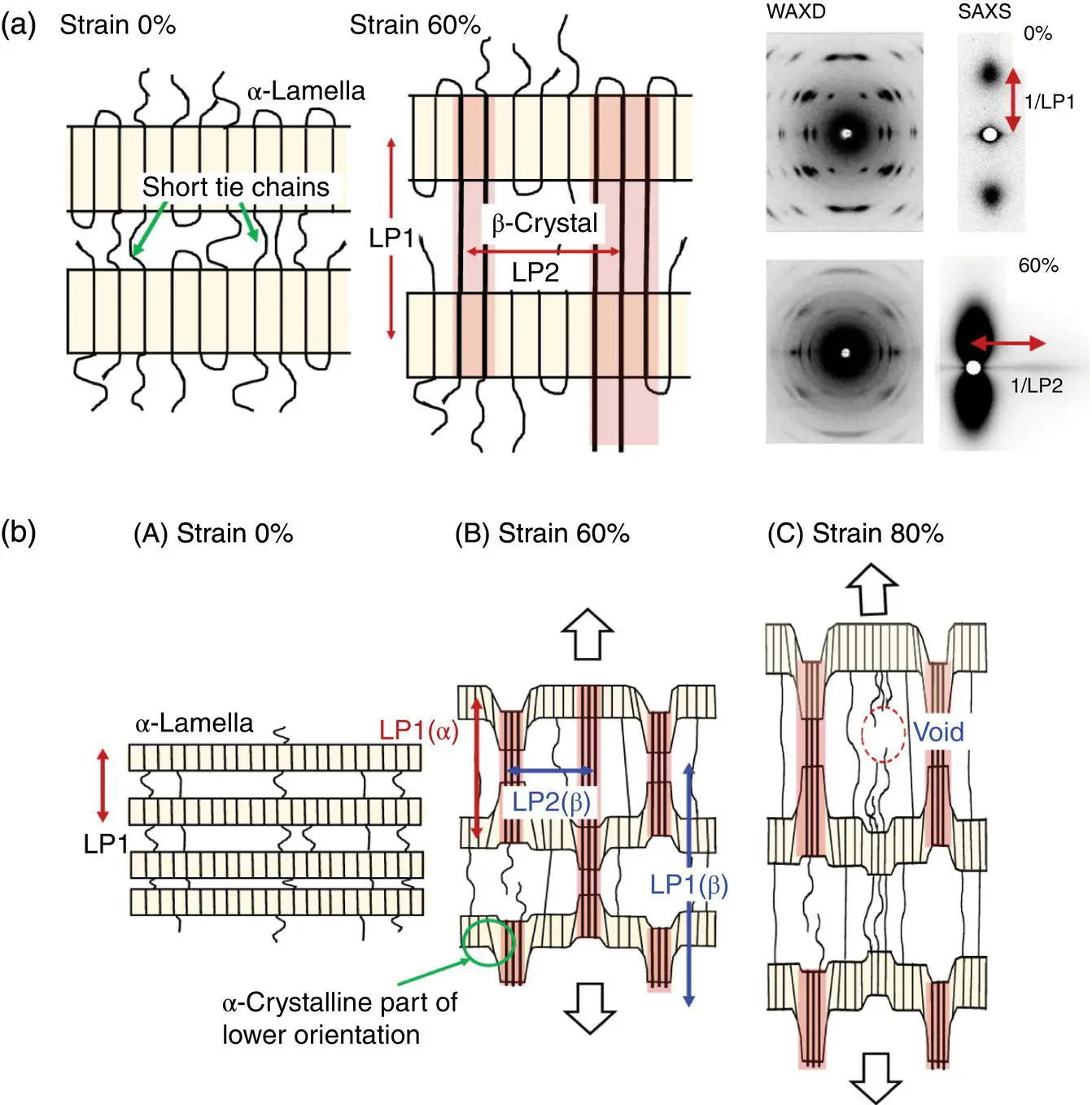 FIGURE 625 a Images of the higherorder structure of the αand βforms of the - фото 153