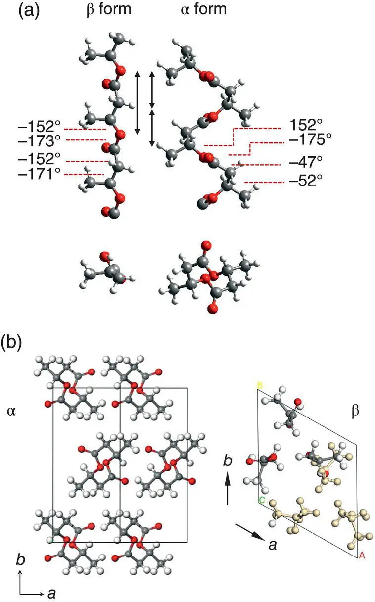 FIGURE 623 a Chain conformation and b chain packing mode obtained for the - фото 151
