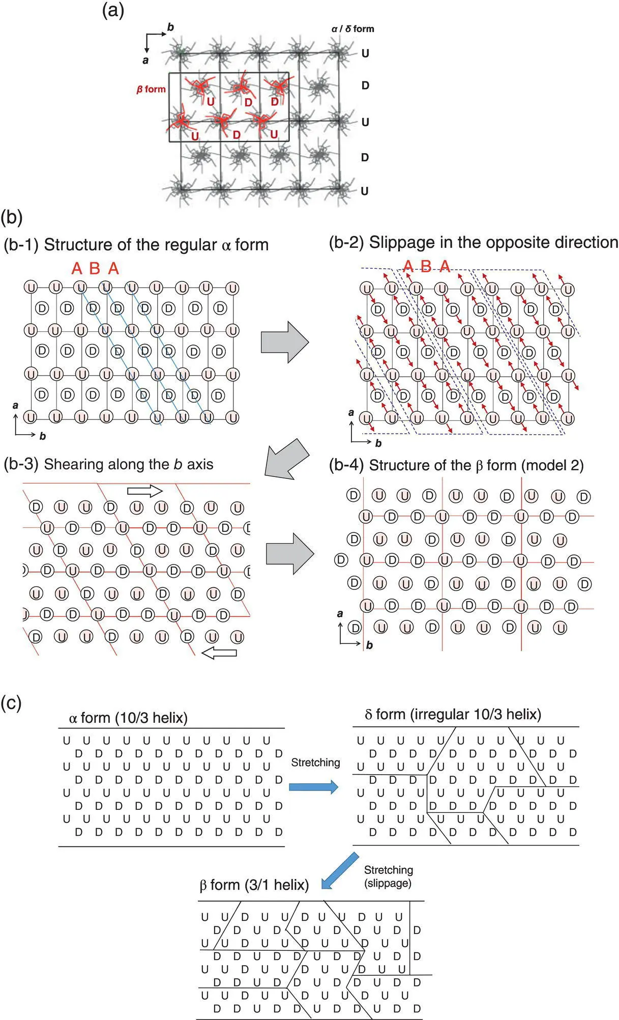 FIGURE 615 a Comparison of the unit cell ab plane structure between the α - фото 135