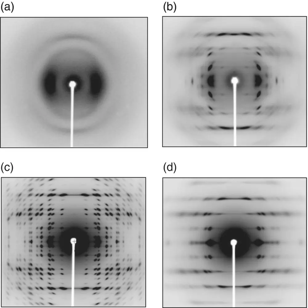 FIGURE 62 2DWAXD patterns of PLLA a mesophase b δform c αform and - фото 120
