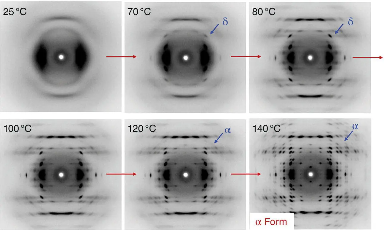 FIGURE 610 Temperature dependence of 2D Xray diffraction patterns of the - фото 130