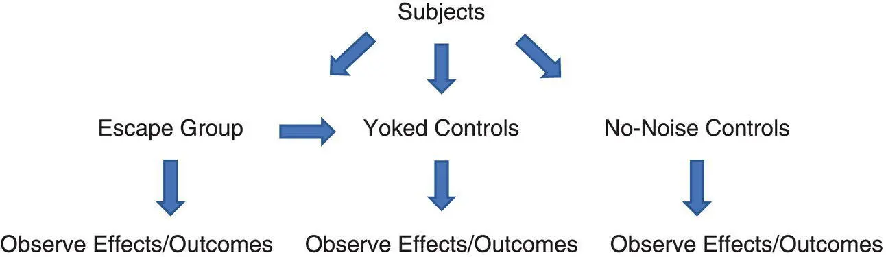 FIGURE 23 Triadic design with yoked controls Using Yourself as a GuineaPig - фото 8
