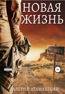Валерий Атамашкин Новая жизнь обложка книги