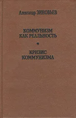 Александр Зиновьев - Кризис коммунизма