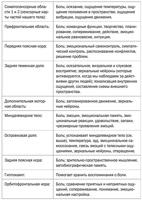 Московиц знал что когда какаялибо часть мозга обрабатывает острую боль лишь - фото 2