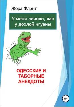 Жора Флинт Одесские и таборные анекдоты обложка книги