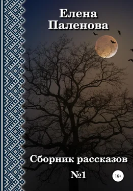 Елена Паленова Сборник рассказов №1 обложка книги