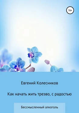 Евгений Колесников Как начать жить трезво, с радостью обложка книги