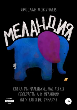 Ярослав Докучаев Меландия обложка книги