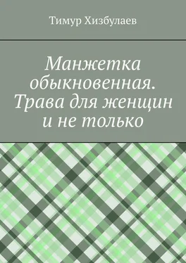 Тимур Хизбулаев Манжетка обыкновенная. Трава для женщин и не только обложка книги