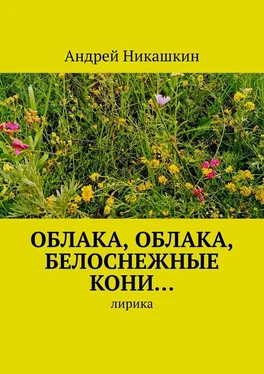 Андрей Никашкин Облака, облака, белоснежные кони… Лирика обложка книги