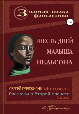 Сергей Гурджиянц Шесть дней малыша Нельсона обложка книги