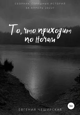 Евгения Чеширская То, что приходит по ночам обложка книги