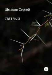 Сергей Шмаков - Светлый