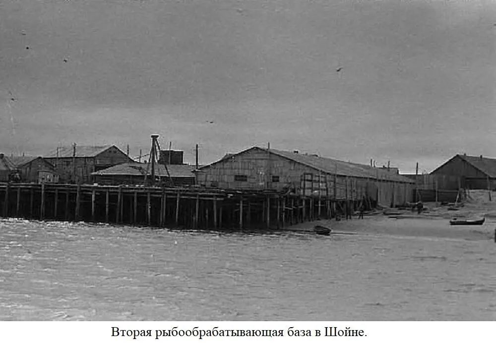 Несомненно ведущими предприятиями были Канинский рыбозавод и Канинская МРС - фото 14