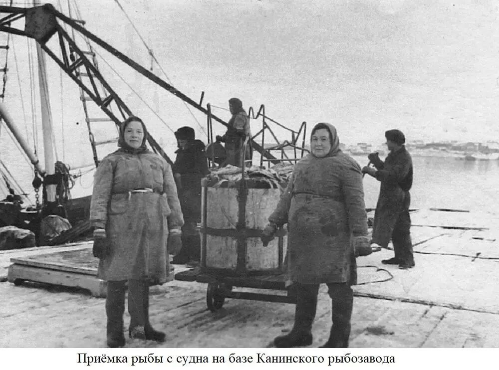 На базах шла первичная обработка и засолка поступившей продукции бригады - фото 17