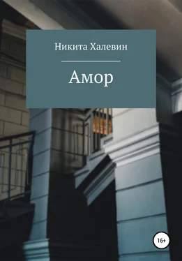 Никита Халевин Амор обложка книги
