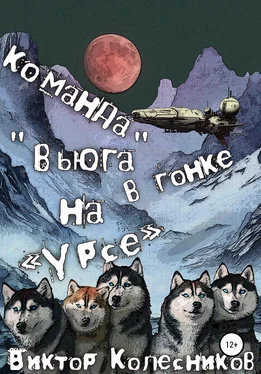 Виктор Колесников Команда «Вьюга» в гонке на «Урсе» обложка книги
