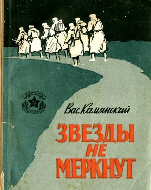 Василий Камянский Звезды не меркнут обложка книги